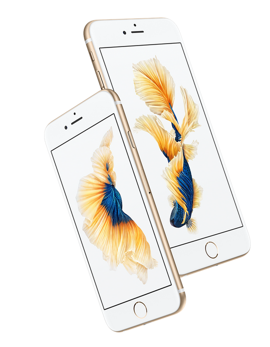 ce13ecfa9c9d8cf328a56efb14bb5814