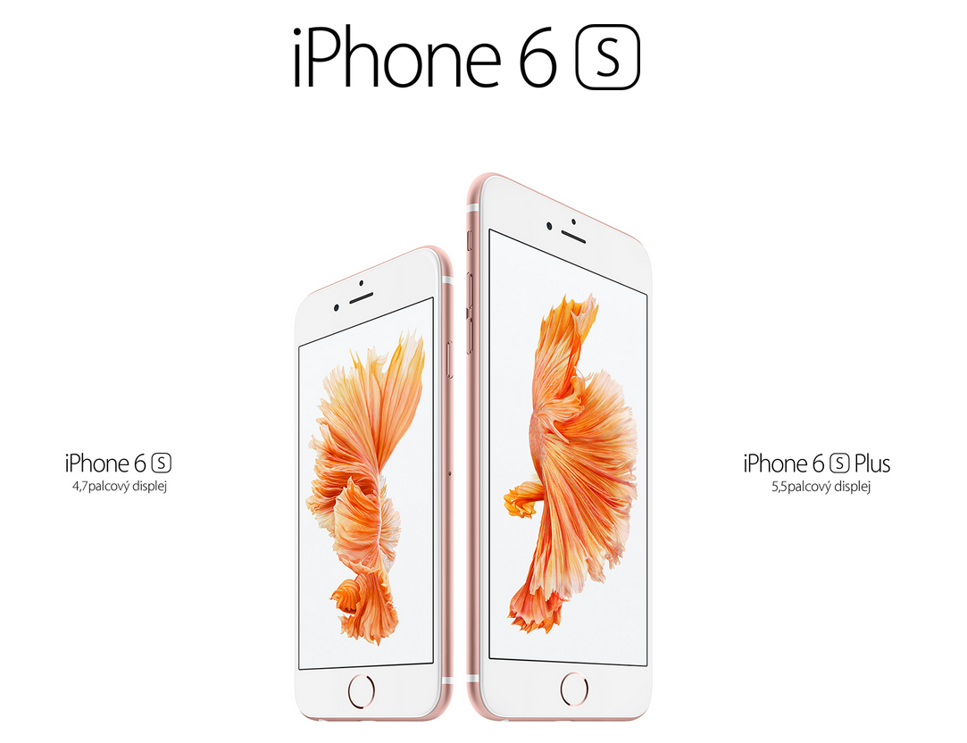 1135d3071c0122bc027f58571ef175cc